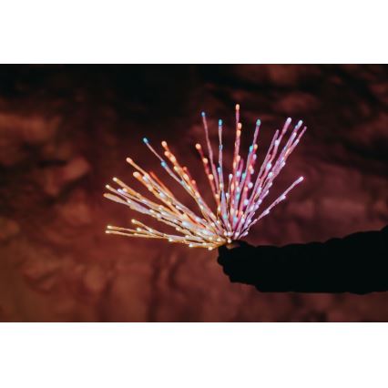 Twinkly - LED RGB Regulação exterior poinsétia SPRITZER 200xLED IP44 Wi-Fi