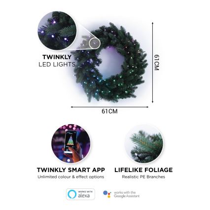 Twinkly - LED RGB Regulação Coroa de natal PRE-LIT WREATH 50xLED diâmetro 61cm Wi-Fi