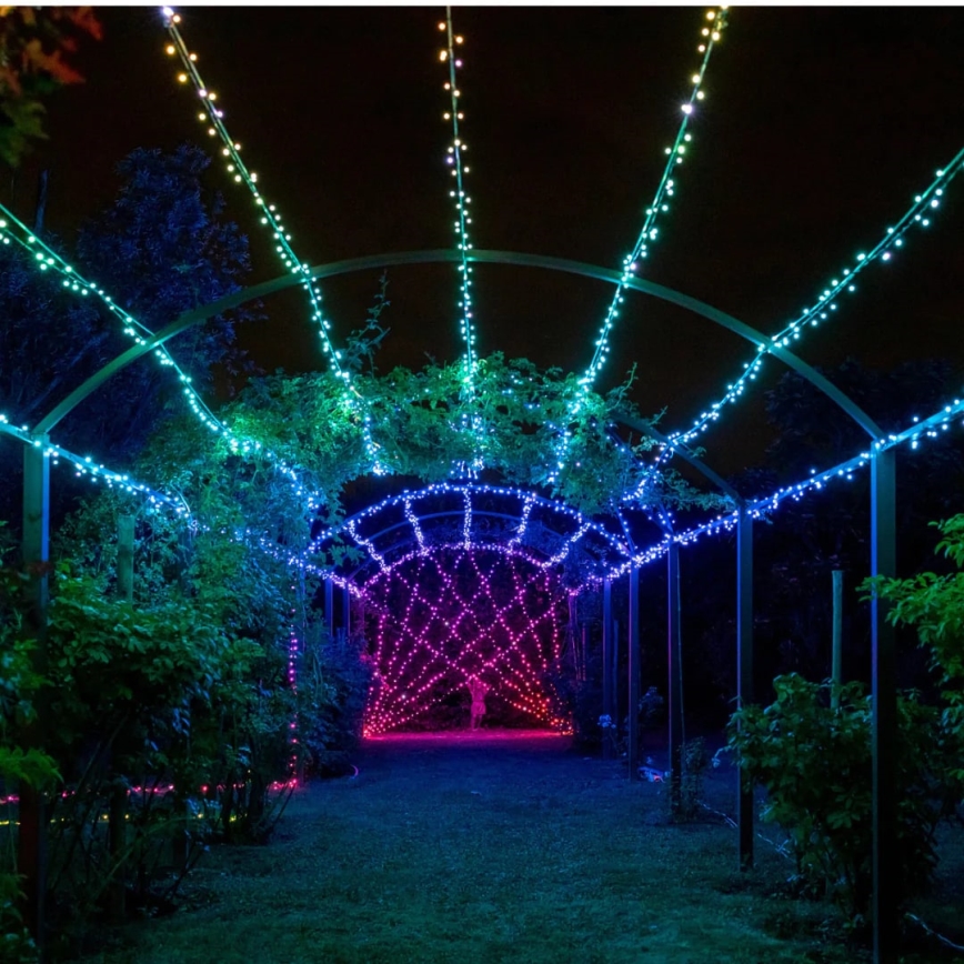 Twinkly - LED RGBW Regulação exterior Corrente de Natal STRINGS 250xLED 23,5m IP44 Wi-Fi
