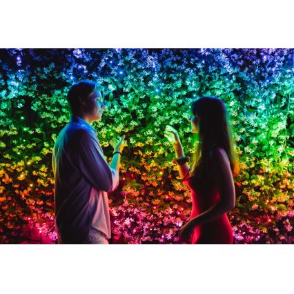 Twinkly - LED RGBW Regulação exterior Corrente de Natal STRINGS 600xLED 51,5m IP44 Wi-Fi
