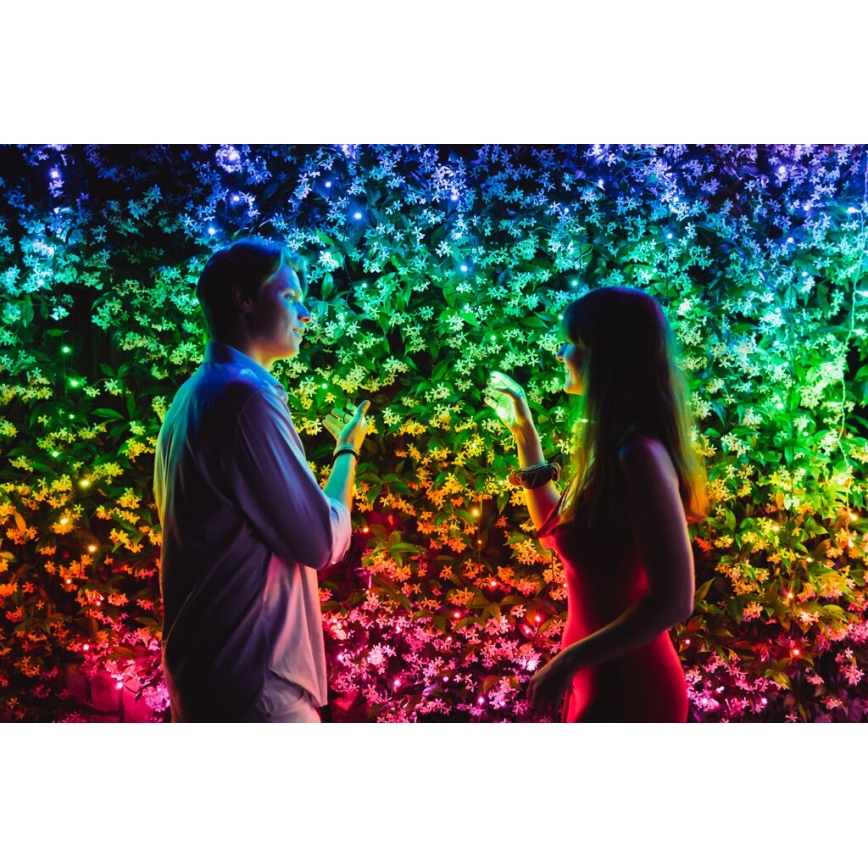 Twinkly - LED RGBW Regulação exterior Corrente de Natal STRINGS 600xLED 51,5m IP44 Wi-Fi
