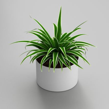 Vaso para flores 11x17 cm branco
