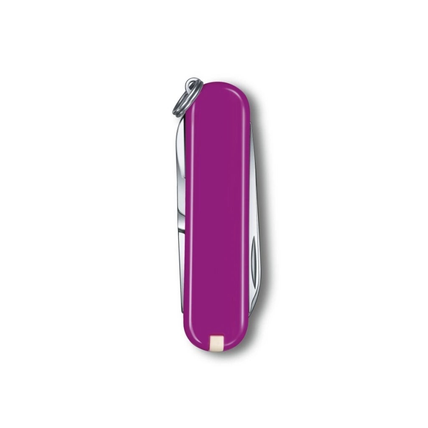 Victorinox - Faca de bolso multifuncional CLASSIC SD 5,8 cm/7 funções roxo