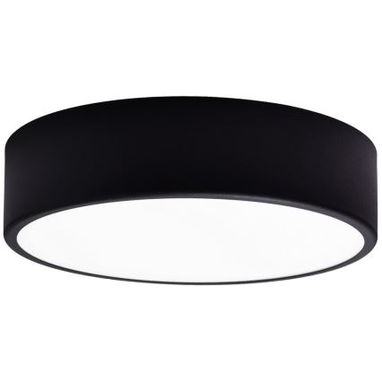 Vidro de substituição para candeeiro de teto CLEO 30 cm copo