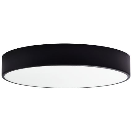 Vidro de substituição para candeeiro de teto CLEO 50 cm copo