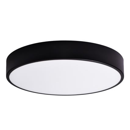 Vidro de substituição CLEO 60 cm copo