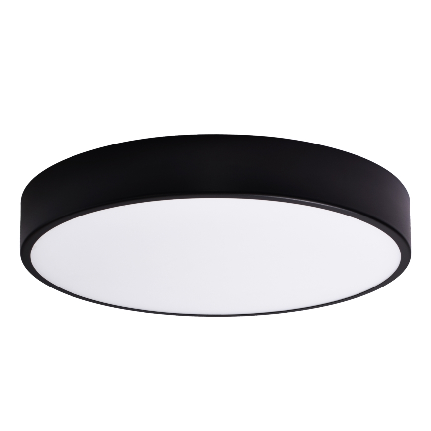 Vidro de substituição CLEO 60 cm copo