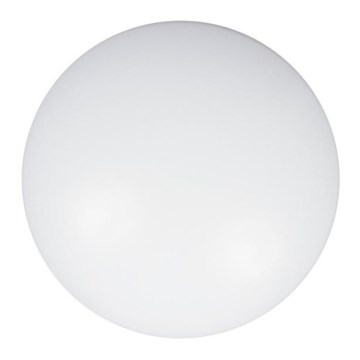Vidro de substituição CLEO 80 cm copo