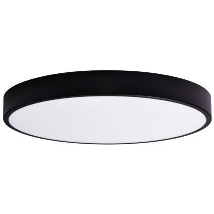 Vidro de substituição CLEO 80 cm copo