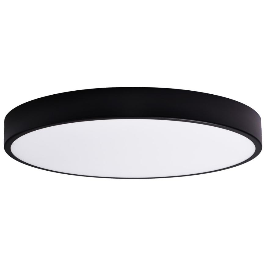 Vidro de substituição CLEO 80 cm copo