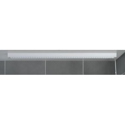 WENKO 23864100 - Cortina de duche em rolo 132x240 cm branca