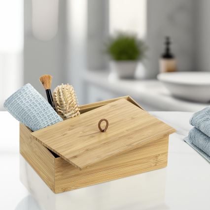 WENKO 23924800 - Caixa TERRA 22x15 cm castanha