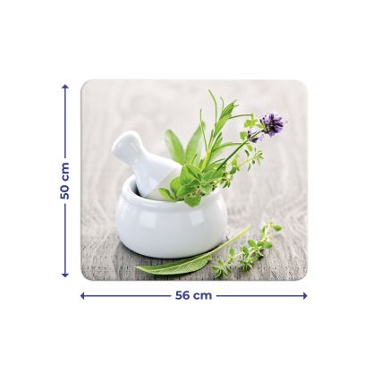 WENKO 2712940500 - Placa de cobertura ABDECKPLATTE – Apta para alimentos, 56 x 50 cm, colorida/transparente