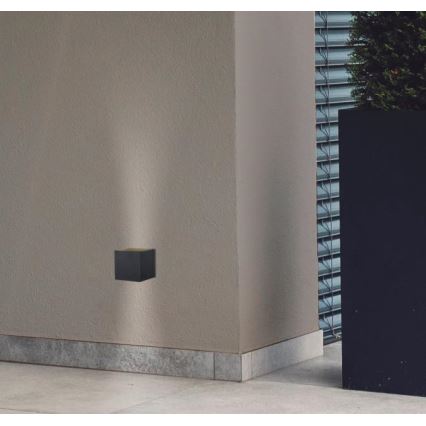 Westinghouse 61149 - Iluminação de parede exterior LED FREYA 2xLED/4,5W/230V IP44 preto