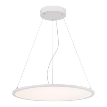 Westinghouse 65775 - Candelabro suspenso LED com regulação ATLER LED/40W/230V 60 cm