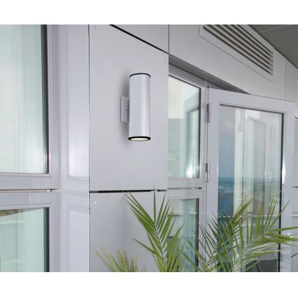 Westinghouse 65793 - Iluminação exterior LED com regulação MARIUS 2xLED/8W/230V IP44
