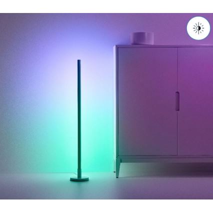 WiZ - Candeeiro de chão LED RGBW com regulação POLE LED/13W/230V 2200-6500K Wi-Fi