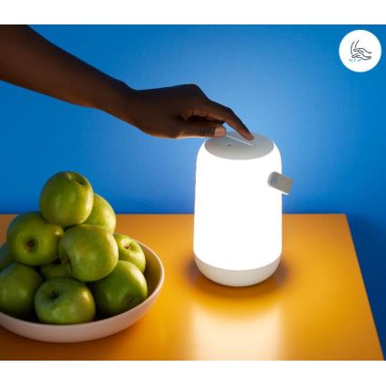 WiZ - Candeeiro portátil LED RGBW com regulação MOBILE LED/13,5W/5V 2200-6500K Wi-Fi