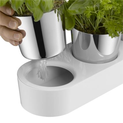 WMF - Vaso de ervas com rega automática 3unid. GOURMET branco/aço inoxidável