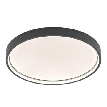 Wofi 12056 - Iluminação de teto LED com regulação DUBAI LED/27,5W/230V antracite