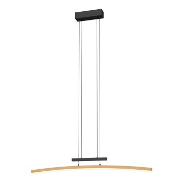 Wofi 7020-106 - Lustre LED regulável em cabo BOLOGNA LED/27W/230V