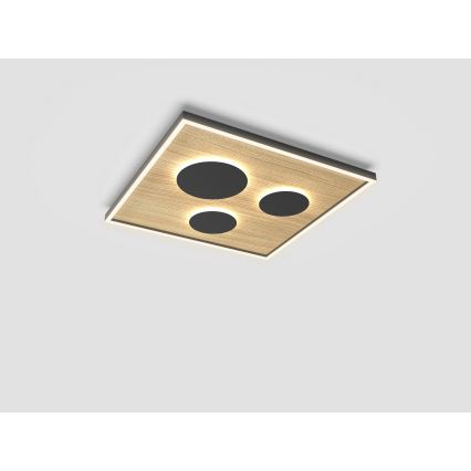 Wofi 9012-306L - Iluminação de teto LED com regulação DIJON LED/40W/230V