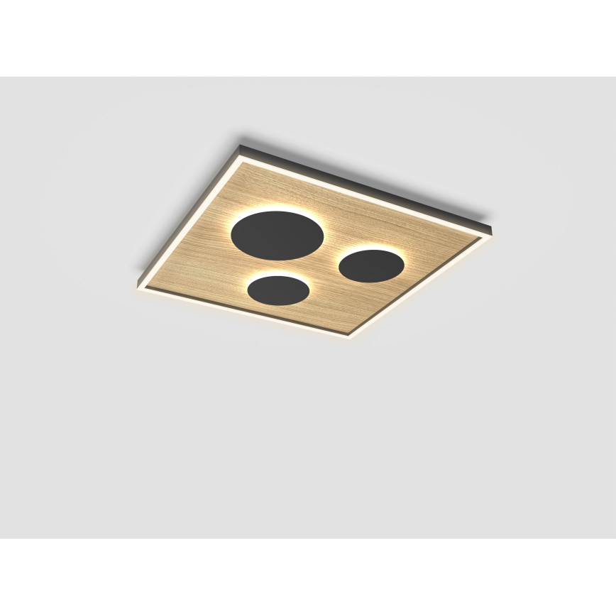 Wofi 9012-306L - Iluminação de teto LED com regulação DIJON LED/40W/230V