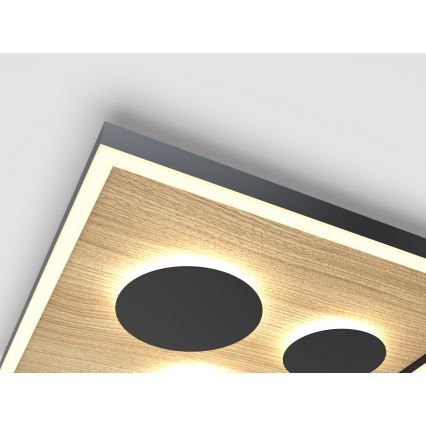 Wofi 9012-306S - Luminária de teto LED dimmerizável DIJON LED/26W/230V
