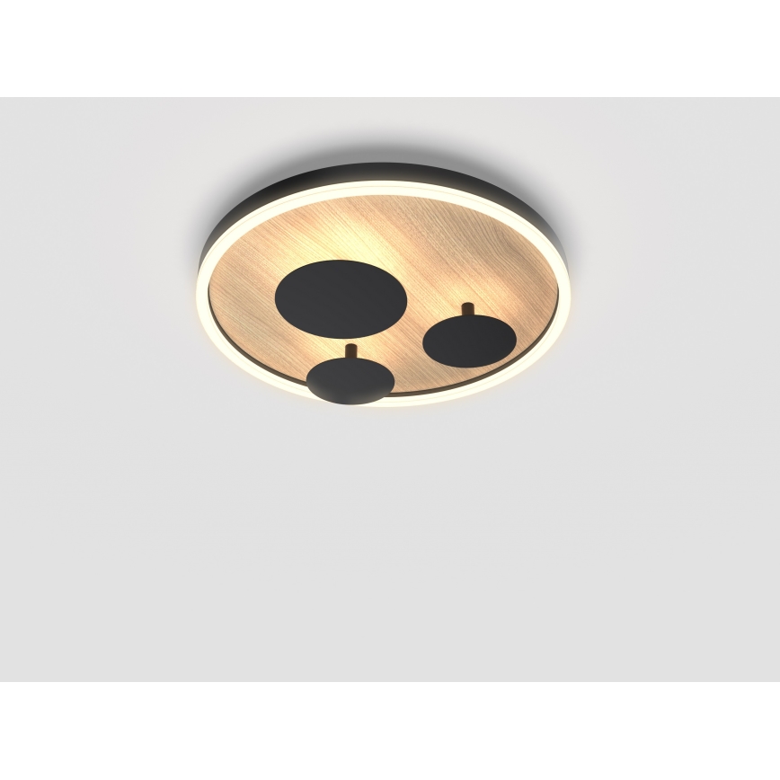 Wofi 9013-306S - Luminária de teto LED regulável REIMS LED/26W/230V