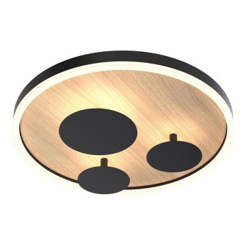Wofi 9013-306S - Luminária de teto LED regulável REIMS LED/26W/230V
