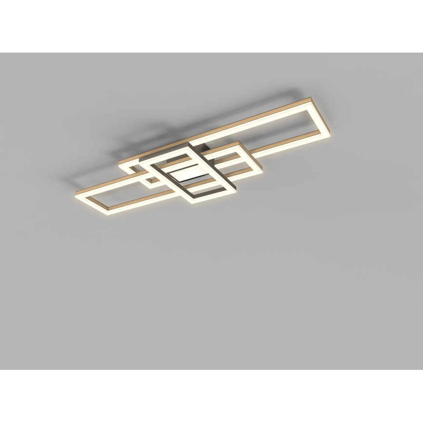 Wofi 9022-306L - Luminária de teto LED dimmerizável MATERA LED/57W/230V