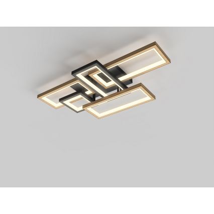 Wofi 9022-506 - Luminária de teto LED dimmerizável MATERA LED/60W/230V