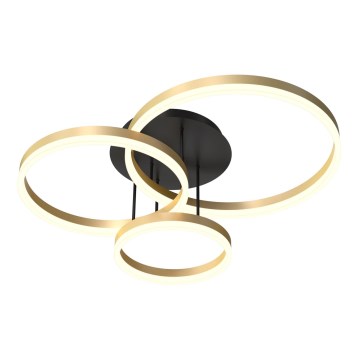 Wofi 9049-401 - Lustre de teto LED dimável PERPIGNAN LED/51W/230V dourado
