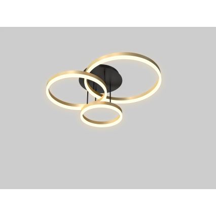 Wofi 9049-401 - Lustre de teto LED dimável PERPIGNAN LED/51W/230V dourado