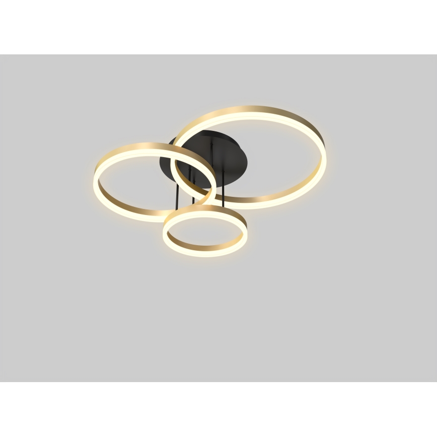 Wofi 9049-401 - Lustre de teto LED dimável PERPIGNAN LED/51W/230V dourado
