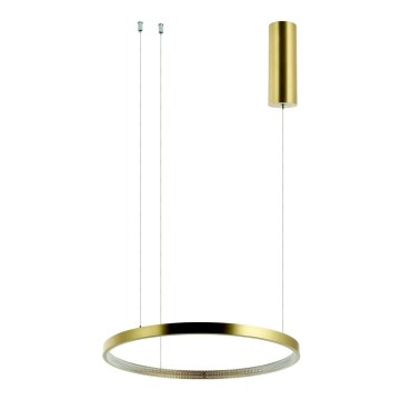 Zambelis 2006 - Candelabro suspenso LED com regulação LED/36W/230V dourada