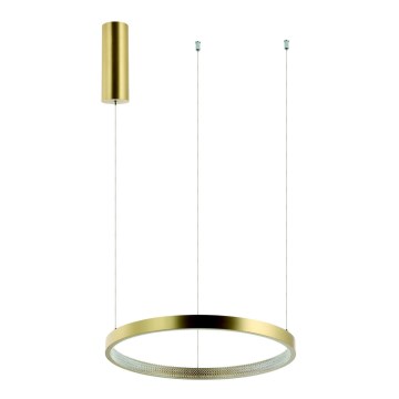 Zambelis 2007 - Candelabro suspenso LED com regulação LED/50W/230V dourada