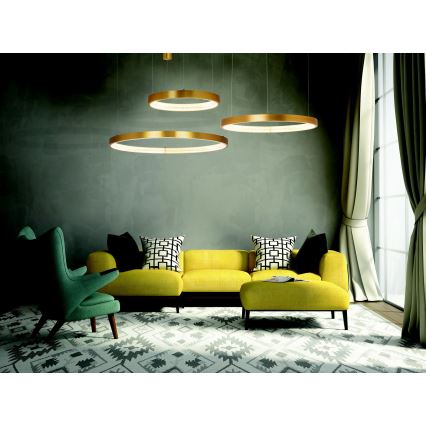 Zambelis 2007 - Candelabro suspenso LED com regulação LED/50W/230V dourada