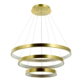 Zambelis 2009 - Candelabro suspenso LED com regulação LED/112W/230V dourada