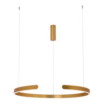 Zambelis 2012 - Candelabro suspenso LED com regulação LED/40W/230V dourada