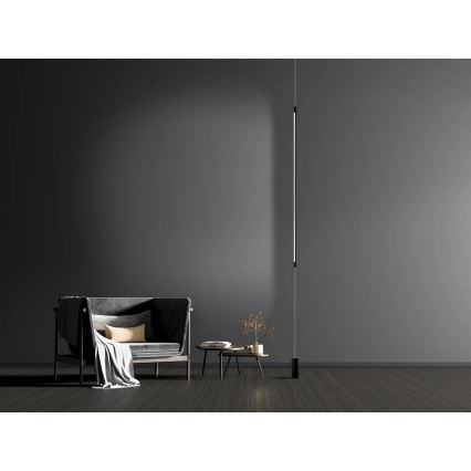 Zambelis 20184 - Candeeiro de chão LED LED/22W/230V