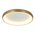 Zambelis 2042 - Iluminação de teto LED com regulação LED/30W/230V diâmetro 40 cm dourada