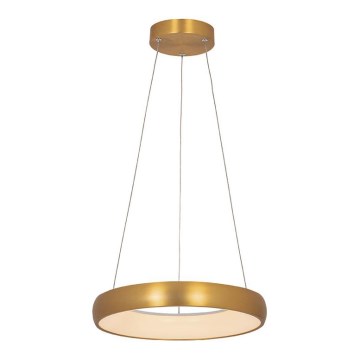 Zambelis 2046 - Candelabro suspenso LED com regulação LED/30W/230V diâmetro 40 cm dourada