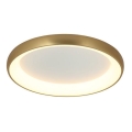 Zambelis 2050 - Iluminação de teto LED com regulação LED/50W/230V diâmetro 60 cm dourada