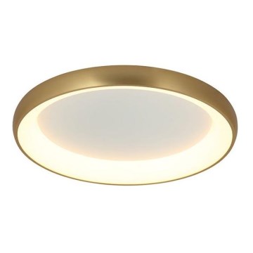 Zambelis 2050 - Iluminação de teto LED com regulação LED/50W/230V diâmetro 60 cm dourada