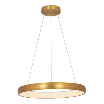 Zambelis 2054 - Candelabro suspenso LED com regulação LED/50W/230V diâmetro 60 cm dourada