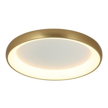 Zambelis 2058 - Iluminação de teto LED com regulação LED/60W/230V diâmetro 80 cm dourada
