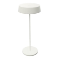 Zambelis E290 - Lâmpada exterior LED regulável LED/2,2W/3,7V 2200 mAh IP54 branca