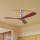 ZEVENTI - Ventilador de teto LIONI Wi-Fi Tuya cromo fosco/carvalho + controlo remoto
