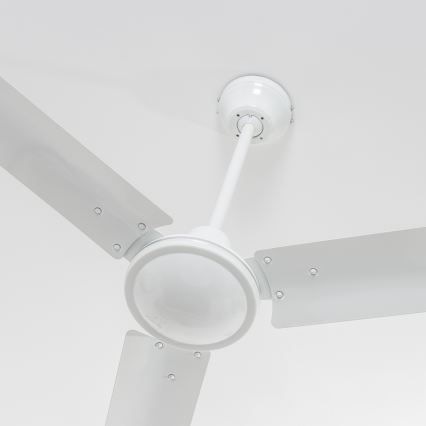 ZEVENTI - Ventilador de teto TOFINO branco